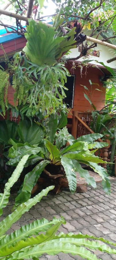 Ouychai Resort Home Stay Chiang Mai Esterno foto